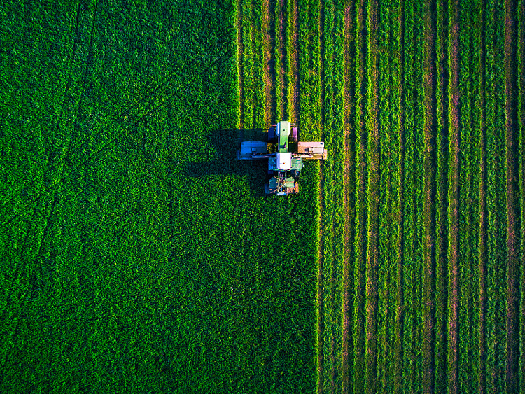 2023年春季小麦种植管理的4个技术措施《领先作物科学》