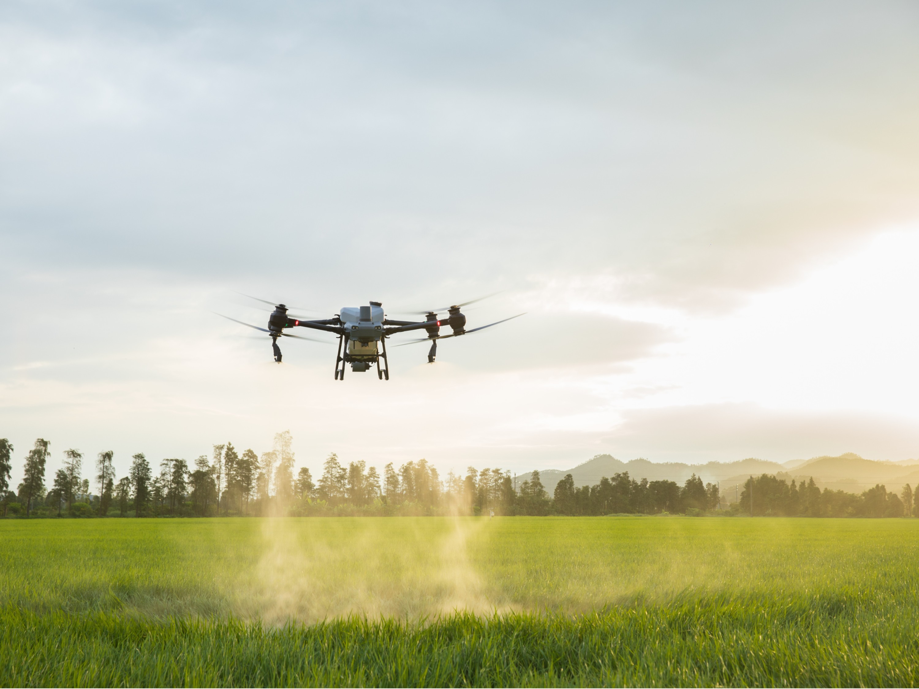 小麦无人机追肥技术指导意见